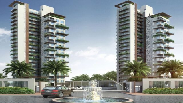 WhatsApp Image 2025-01-17 at 12.54.23_7ac4b9fa