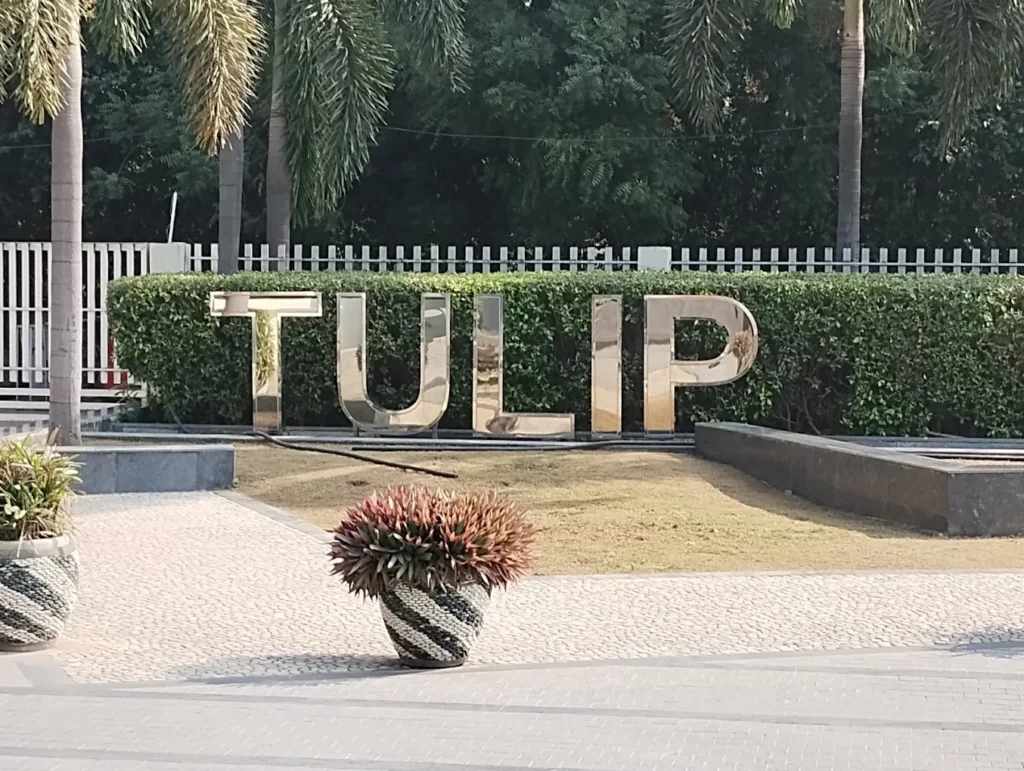 Tulip Infratech
